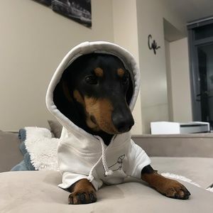 Koji Co. Pet Hoodie Sweatshirt